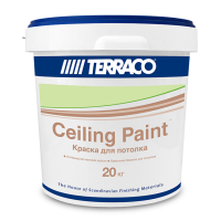 Ceiling Paint 20
