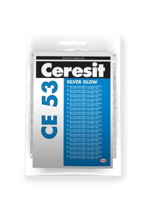 Packshot_CE 53_front view_silver_glow_3(1)